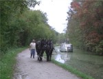 The St. Helena III glides down the Ohio & Erie Canal as a boat crew member steers the horses on the towpath trail toward Lock IV.  Students travel down an original section of the Ohio & Erie Canal, just as travelers did in the 1800's, and learn more about the canal's history and how 